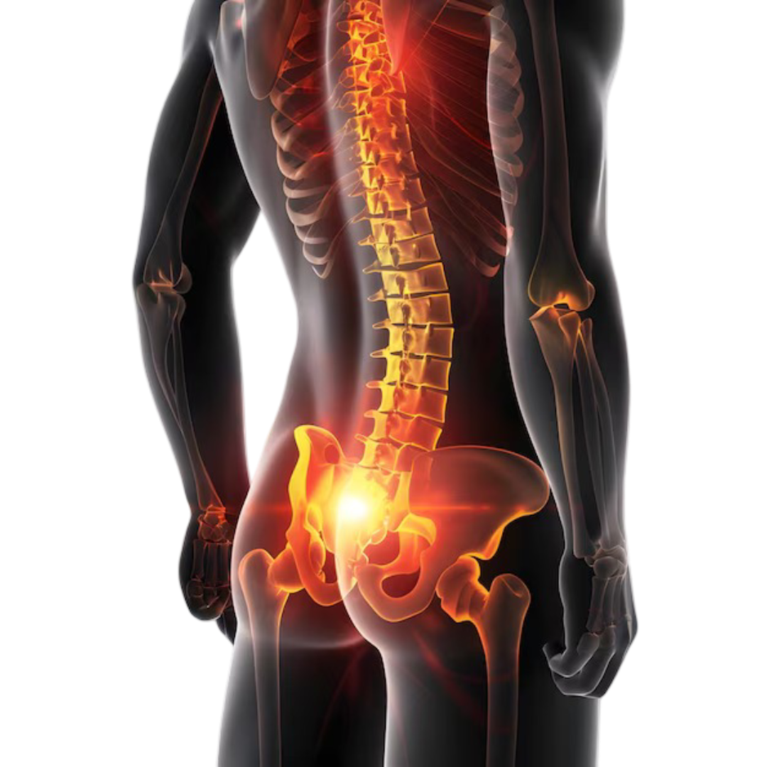 Visualisierung von Schmerzen im unteren Rücken und Becken